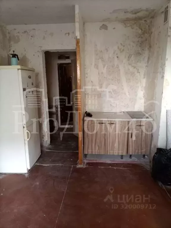 Студия Курская область, Курск ул. Черняховского, 31А (22.3 м) - Фото 0