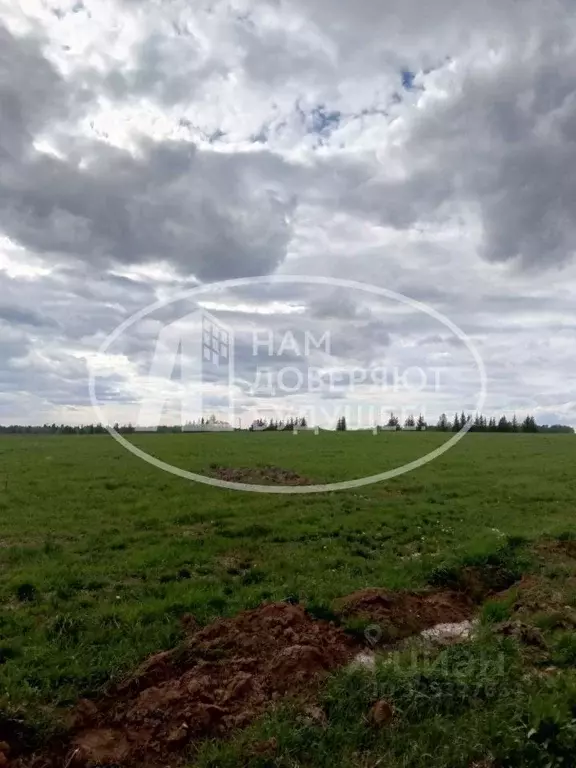 Участок в Пермский край, Кунгурский муниципальный округ, д. Теплая  ... - Фото 2