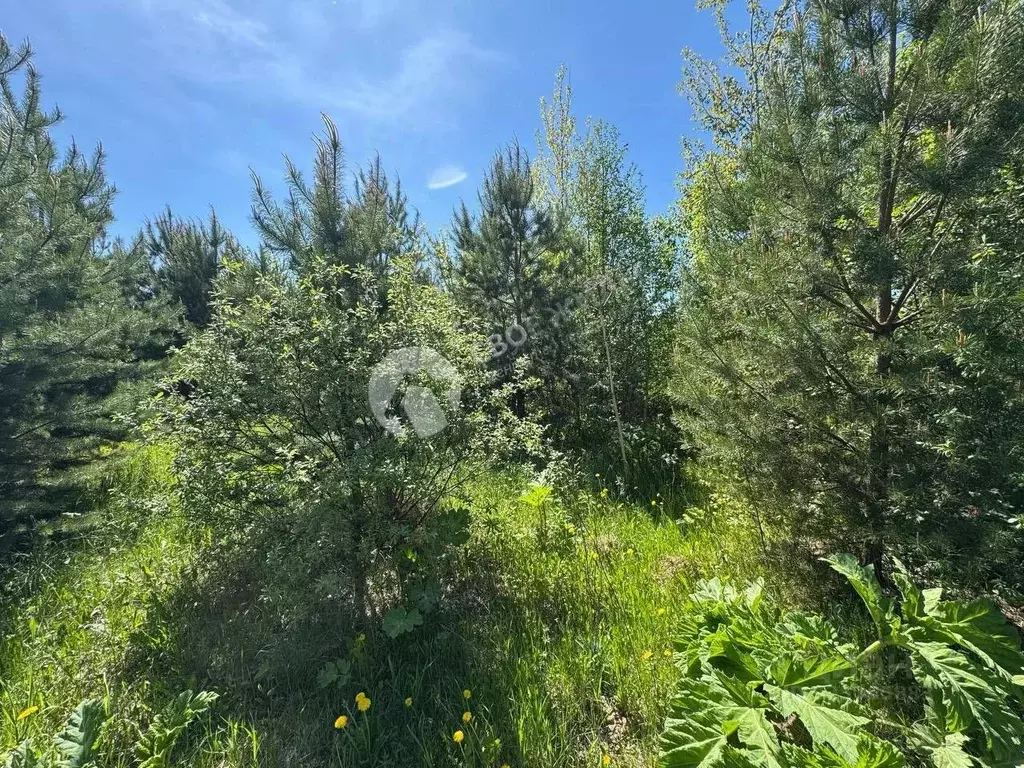 Участок в Пермский край, Пермь ул. Циолковского (12.0 сот.) - Фото 2