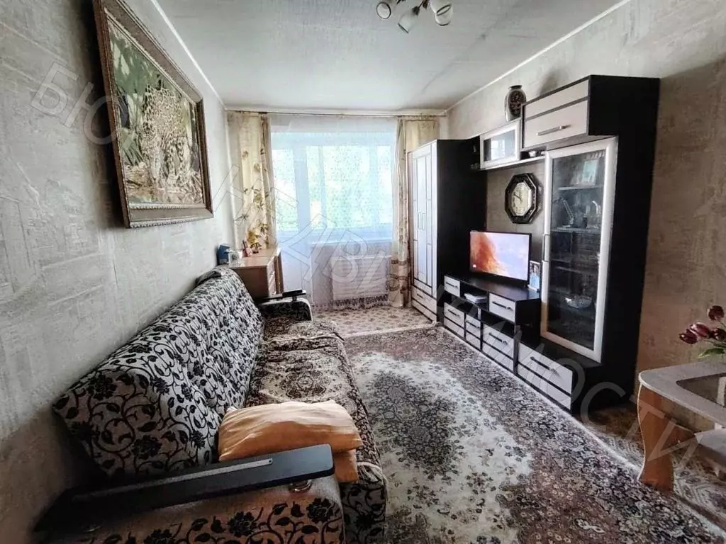 1-к кв. Саратовская область, Балашов Фестивальная ул., 7 (30.2 м) - Фото 0