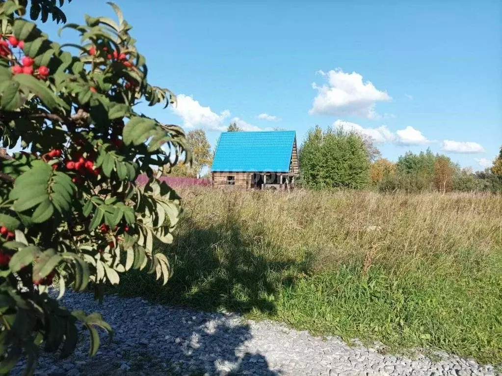Дом в Новосибирская область, Колыванский район, Надежда СТ  (90 м) - Фото 0