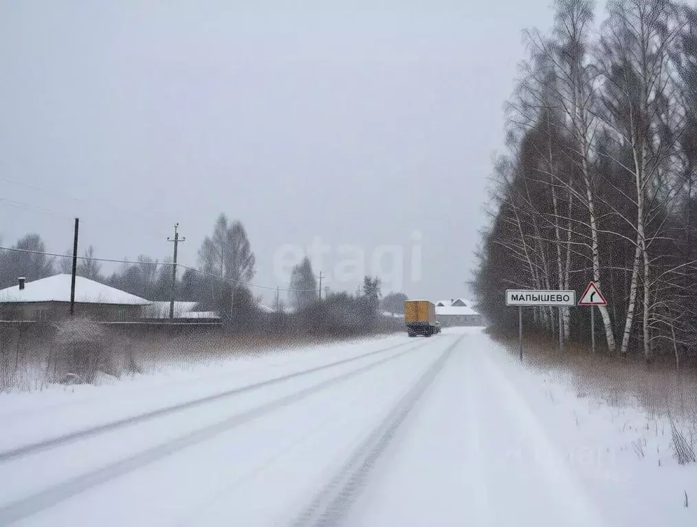 Участок в Владимирская область, Ковровский район, Малыгинское с/пос, ... - Фото 1