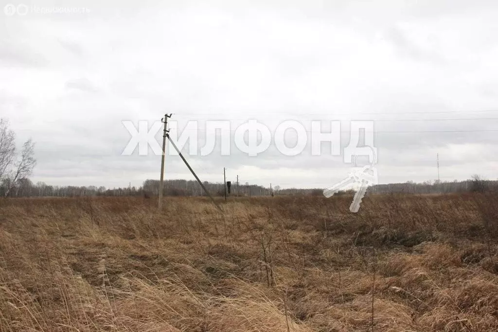 Участок в Новосибирская область, рабочий посёлок Мошково, улица ... - Фото 1