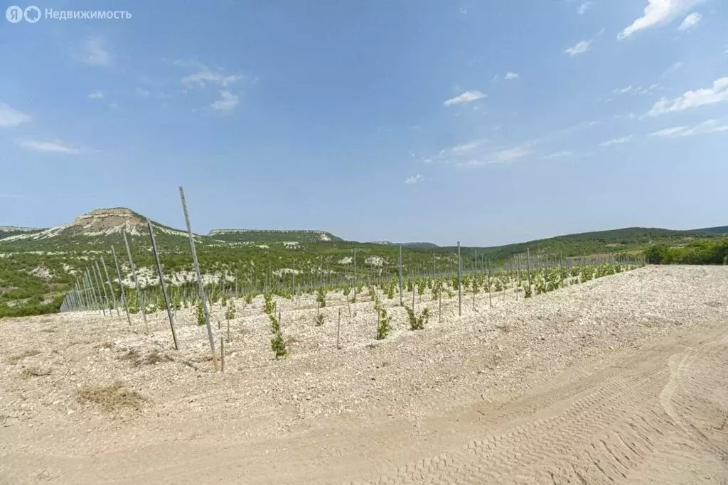 Производственное помещение (58004 м) - Фото 2