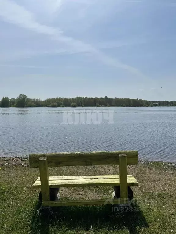 Участок в Вологодская область, Сокольский муниципальный округ, д. Шера ... - Фото 2