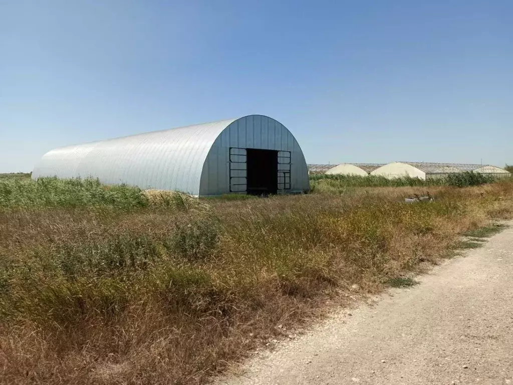 Участок в Краснодарский край, Анапа муниципальный округ, Иванов хут. ... - Фото 1