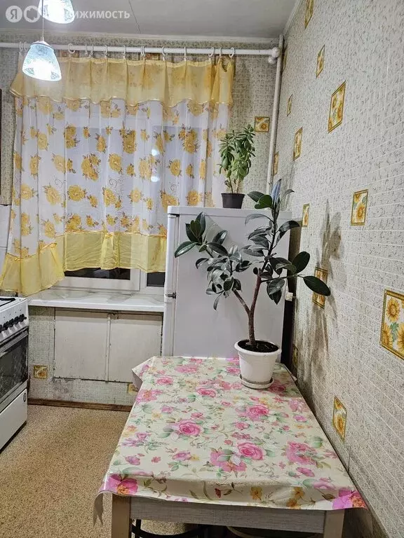 1-комнатная квартира: Энгельс, улица Колотилова, 2 (29.6 м) - Фото 2