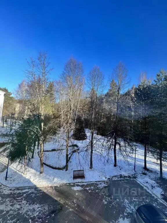 4-к кв. Московская область, Одинцовский городской округ, д. Гигирево, ... - Фото 2