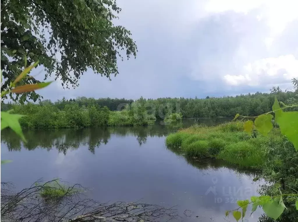Участок в Татарстан, Зеленодольский район, Айшинское с/пос, Лесной ... - Фото 1