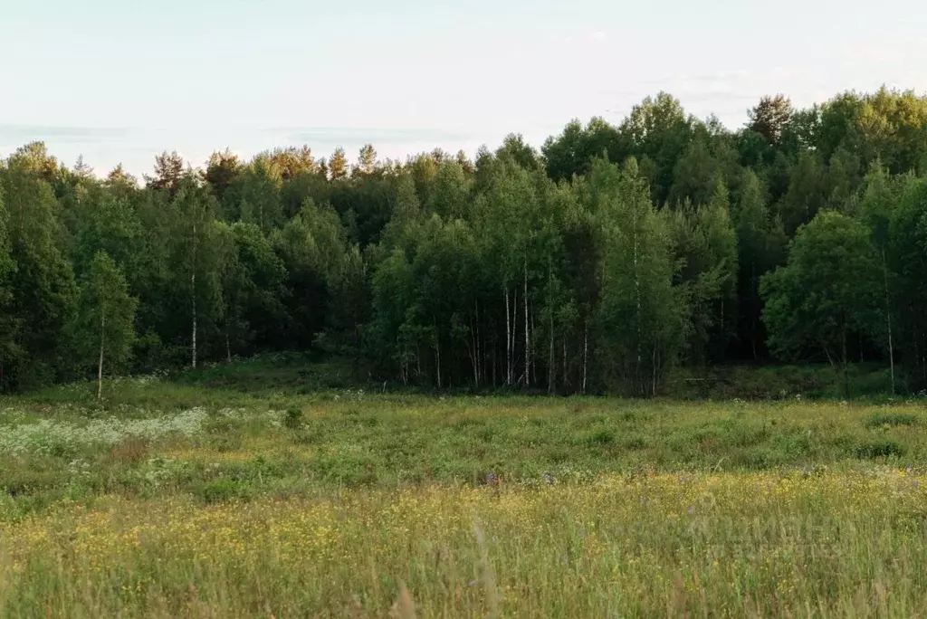 Участок в Ленинградская область, Всеволожский район, Лесколовское ... - Фото 2