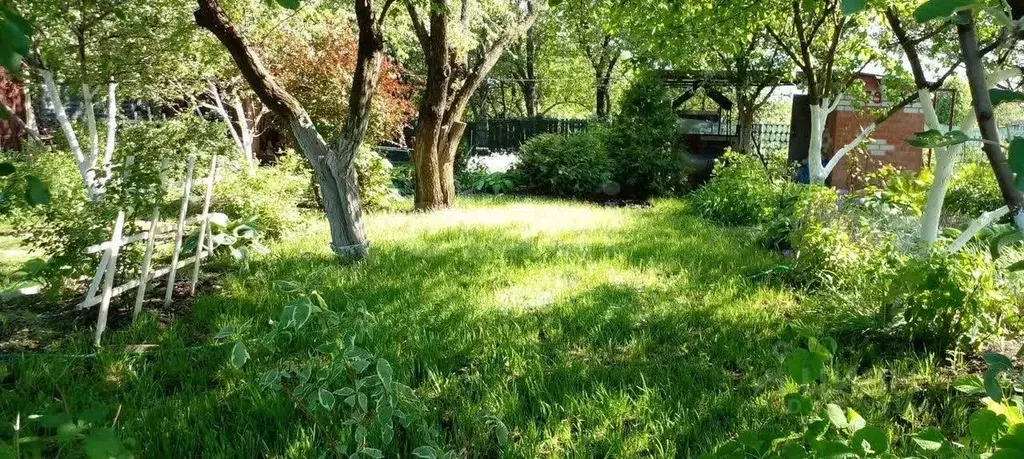 Дом в Воронежская область, Каширский район, Дзержинское с/пос, Полет ... - Фото 1