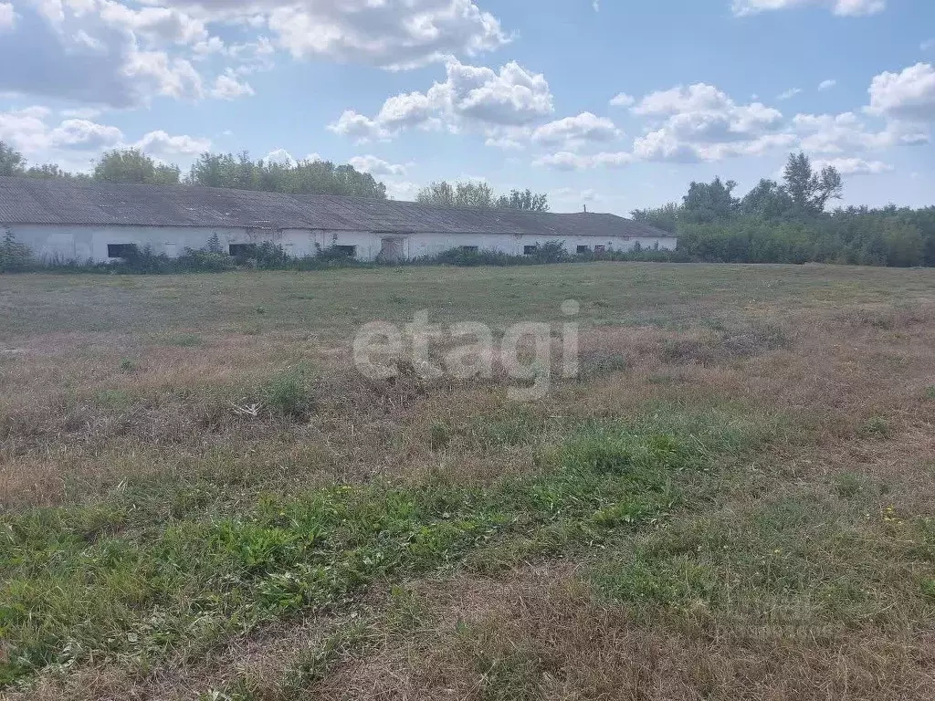 Помещение свободного назначения в Белгородская область, Корочанский ... - Фото 1