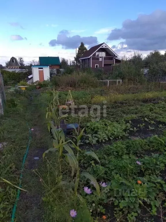 Участок в Новосибирская область, Бердск Марьин Лог СНТ, ул. 57-я, 6 ... - Фото 0