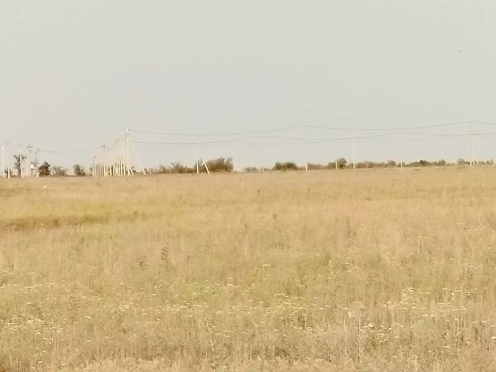 Участок в Оренбургская область, Оренбург городской округ, с. Пруды  ... - Фото 1