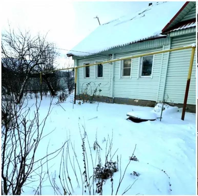 Дом в Нижегородская область, Балахна Вокзальная ул., 10 (93 м) - Фото 1