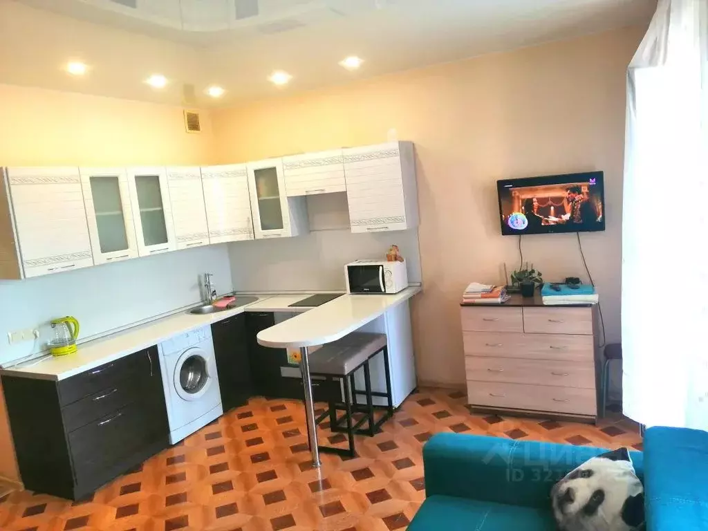 Студия Иркутская область, Иркутск проезд Юрия Тена, 12 (35.0 м) - Фото 1