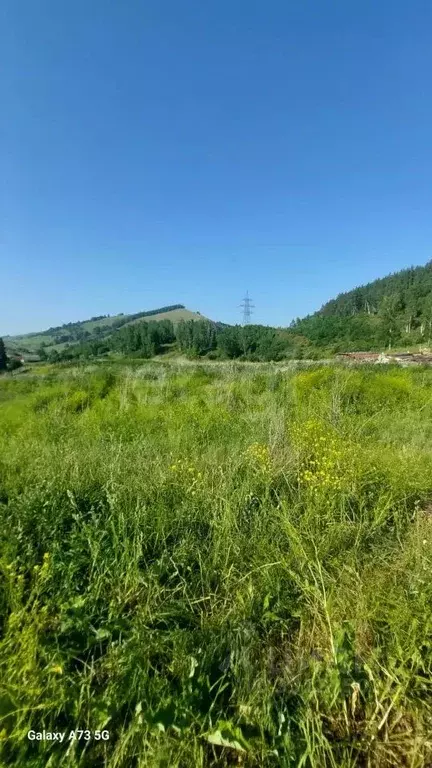 Участок в Алтайский край, Алтайский район, с. Нижнекаянча ул. Вятская ... - Фото 1