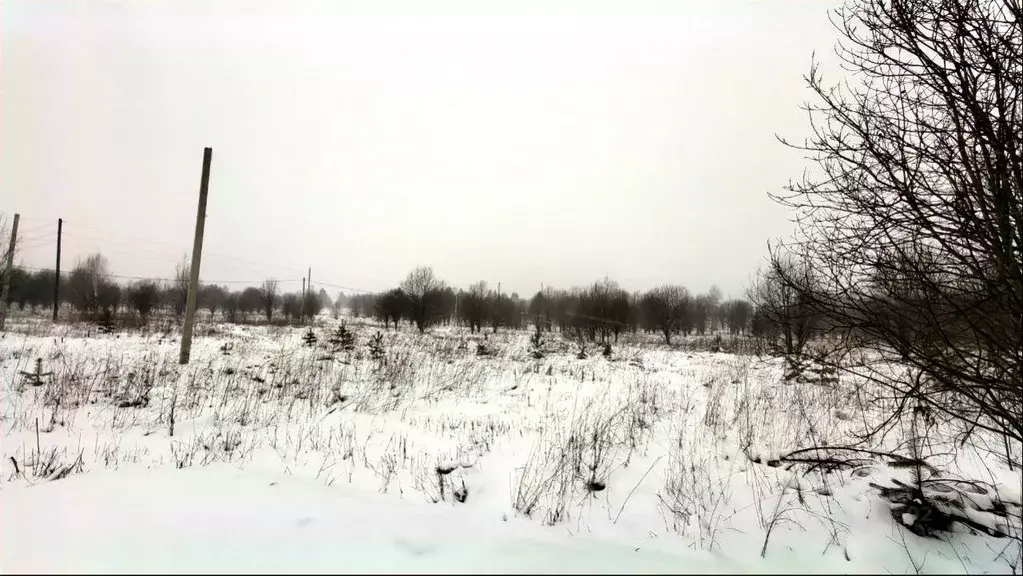 Участок в Пермский край, Пермский район, пос. Юго-Камский  (1200.0 ... - Фото 2