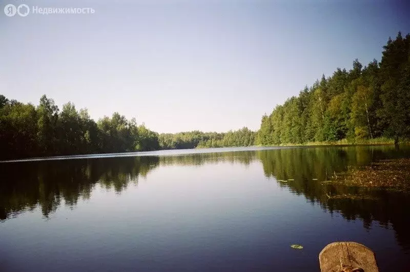 Дом в Псковская область, Плюсский муниципальный округ, деревня ... - Фото 2