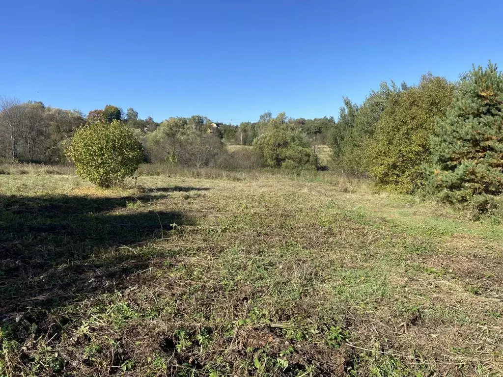 Участок в Тульская область, Заокский район, Малаховское с/пос, д. ... - Фото 2