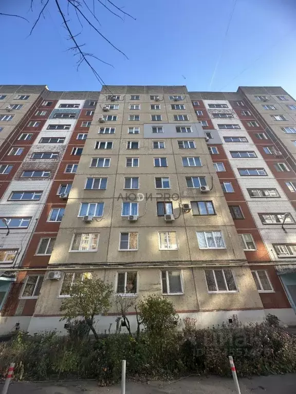 1-к кв. Саратовская область, Саратов Томская ул., 14 (36.7 м) - Фото 2