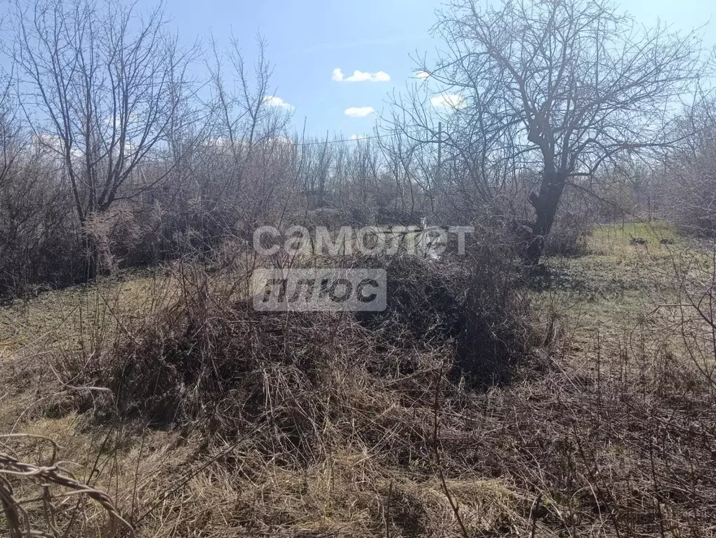 Участок в Пензенская область, Бессоновский район, с. Чемодановка ул. ... - Фото 1