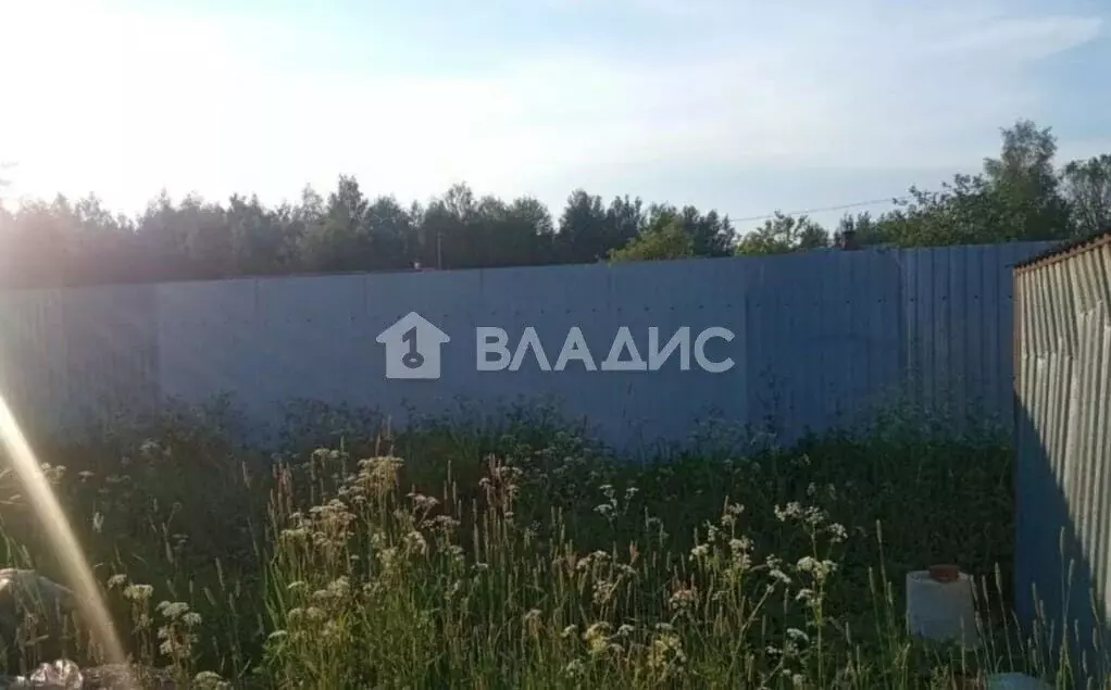 Участок в Петушинский район, муниципальное образование Нагорное, ... - Фото 1