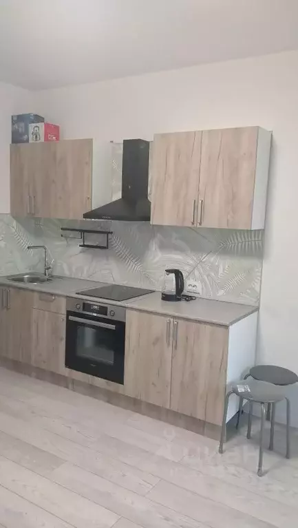 Студия Санкт-Петербург пос. Шушары, просп. Старорусский, 5к2 (19.0 м) - Фото 2