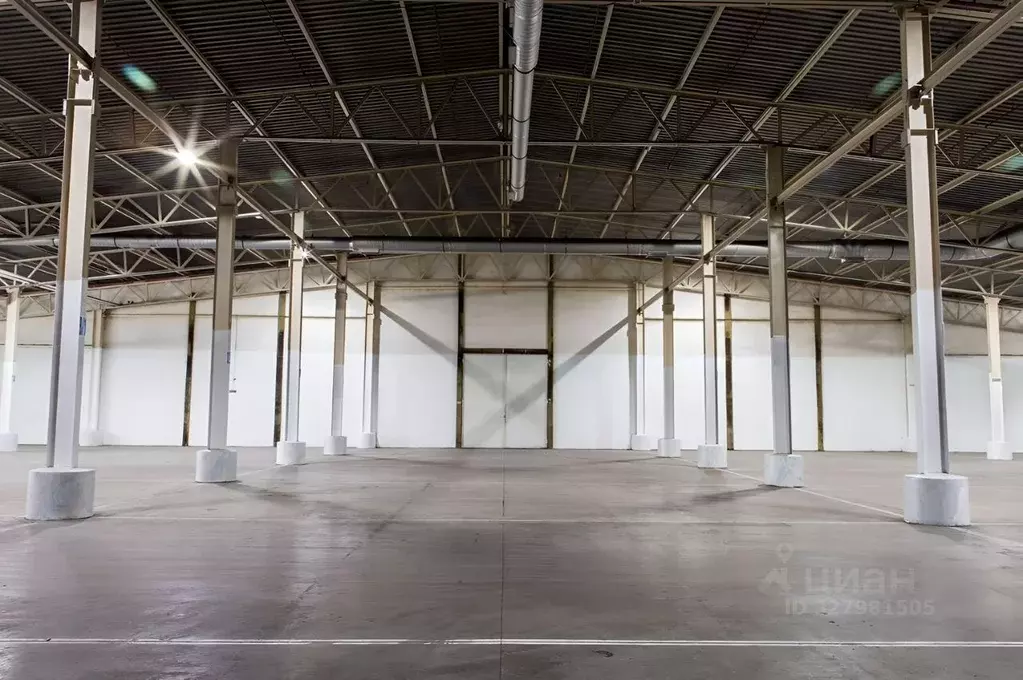 Склад в Санкт-Петербург пос. Шушары, ул. Поселковая, 12В (1220 м) - Фото 1