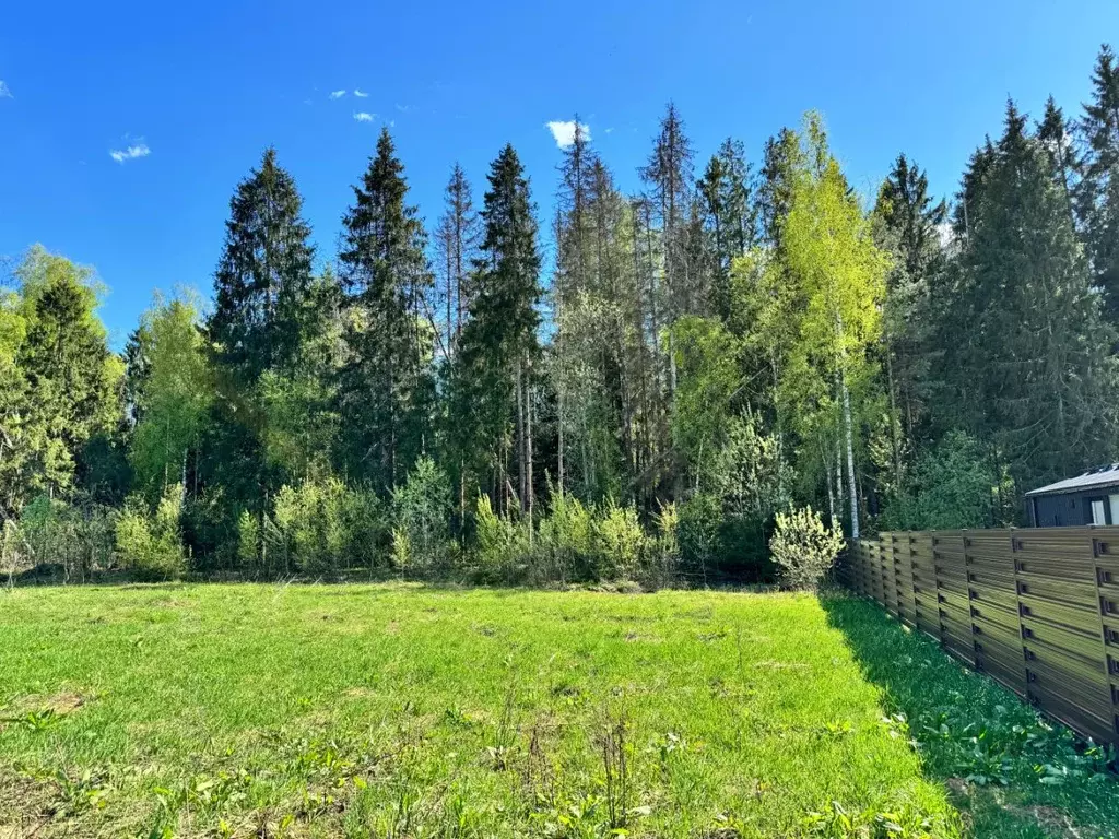 Участок в Московская область, Пушкино Чистые Пруды-2 кп, ул. Вишневая ... - Фото 1