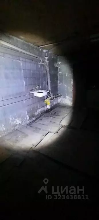 Помещение свободного назначения в Алтайский край, Барнаул ул. ... - Фото 2