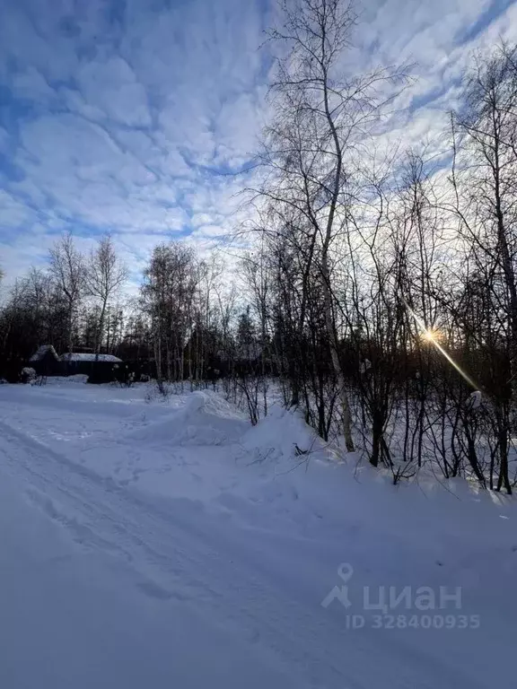 Участок в Саха (Якутия), Якутск городской округ, с. Маган  (6.33 сот.) - Фото 2