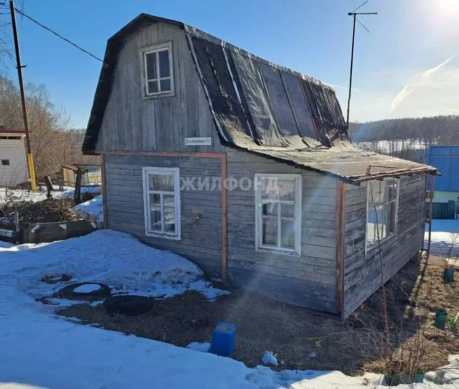 Дом в Новосибирская область, Новосибирский район, Раздольненский ... - Фото 0