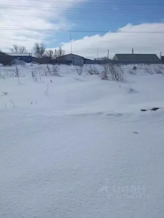 Участок в Омская область, Омский район муниципальный округ, с. Дружино ... - Фото 2
