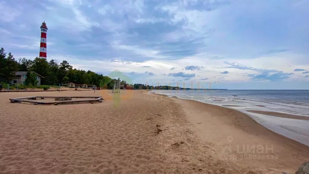 Участок в Ленинградская область, Всеволожский район, Рахьинское ... - Фото 1