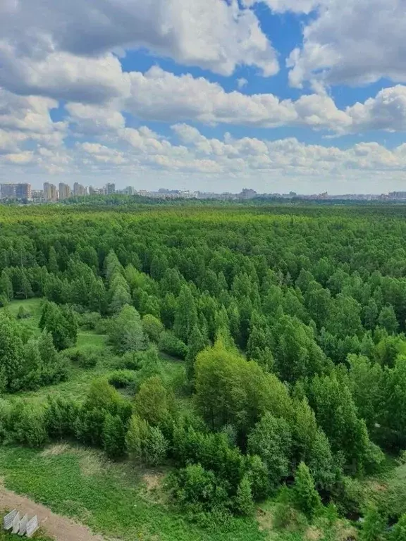 Студия Санкт-Петербург наб. Реки Каменки, 19к1 (16.0 м) - Фото 0