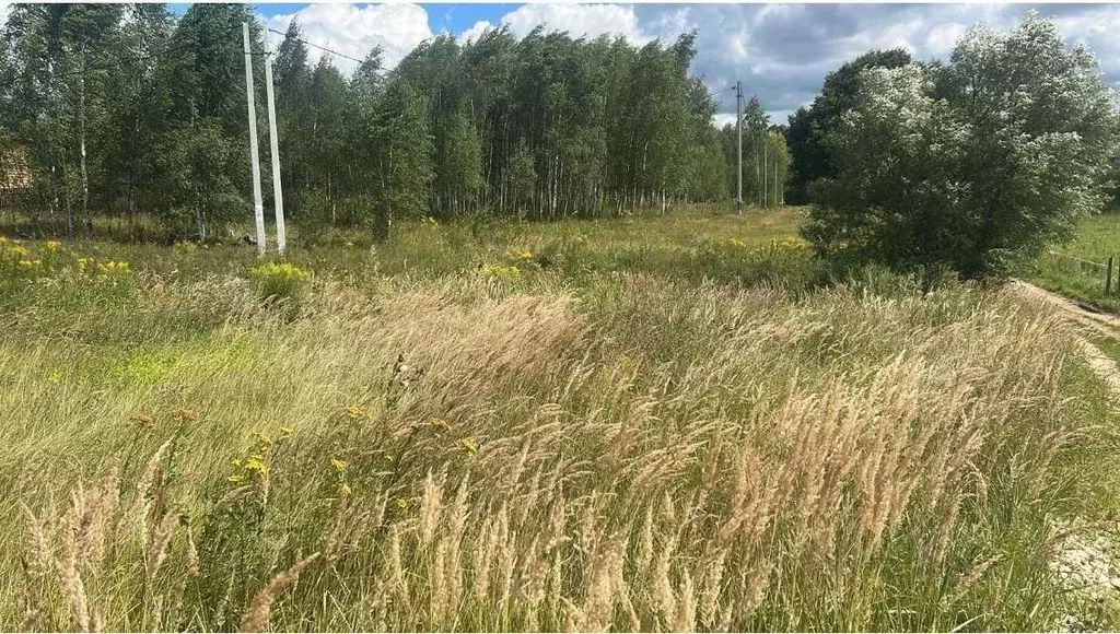 Участок в Московская область, Ступино городской округ, д. Прудно  ... - Фото 1