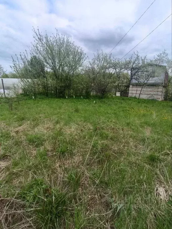 Участок в Нижегородская область, Кстово Пион садовое товарищество, 32 ... - Фото 1