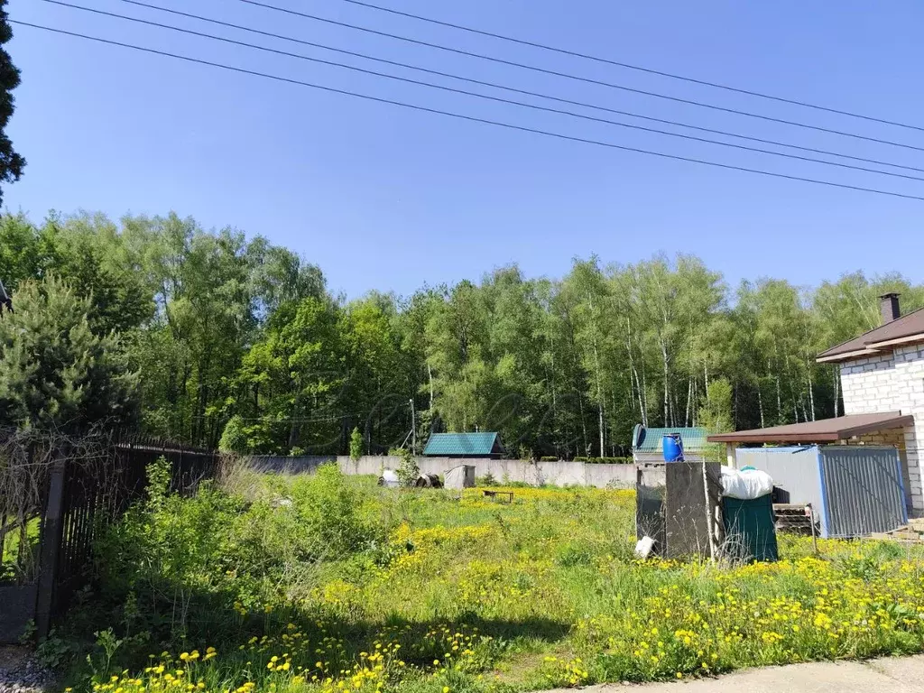 Участок в Московская область, Мытищи городской округ, д. Грибки, ... - Фото 0