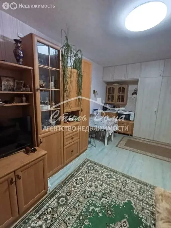 1-комнатная квартира: Волгоград, Шекснинская улица, 22 (34.7 м) - Фото 1
