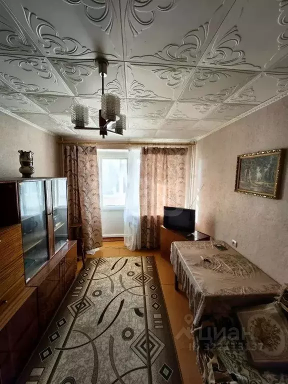 2-к кв. Брянская область, Клинцы ул. Мира, 123 (46.0 м) - Фото 2