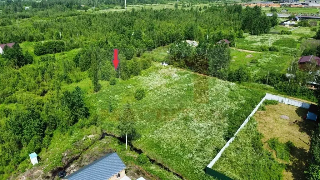 Участок в Ленинградская область, Гатчинский район, д. Малое Верево ... - Фото 0