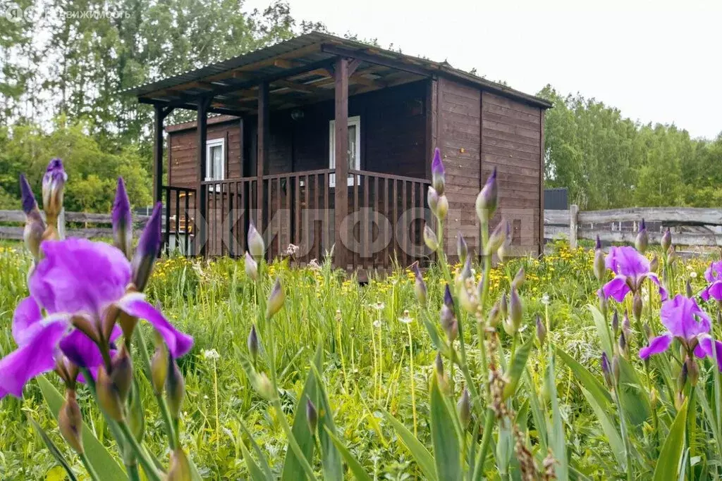 Дом в Новосибирская область, Коченёвский муниципальный район, ... - Фото 0