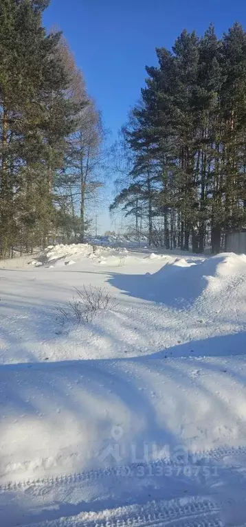 Участок в Удмуртия, Завьяловский район, д. Старое Мартьяново Лесная ... - Фото 0