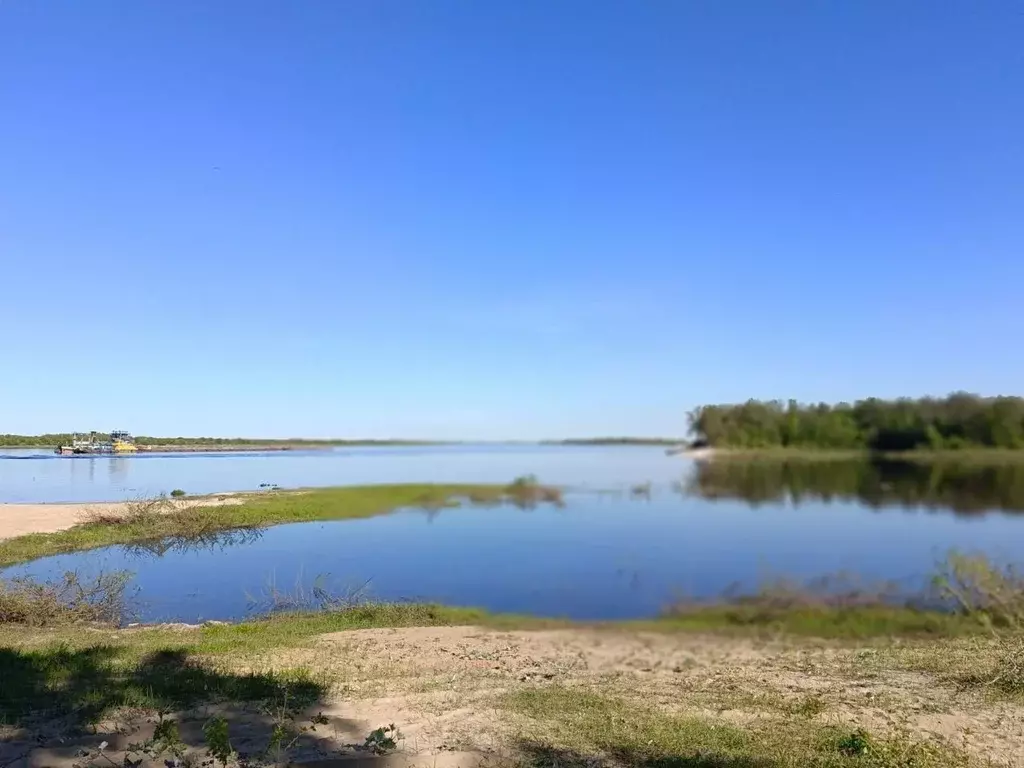 Участок в Нижегородская область, Балахна Картонщик садоводческое ... - Фото 1