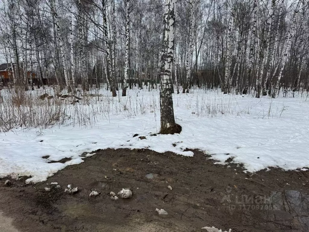 Участок в Московская область, Богородский городской округ, имени ... - Фото 1