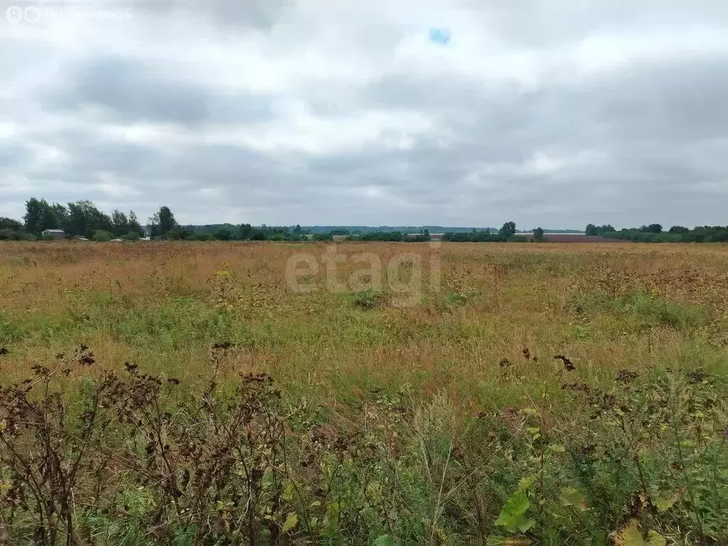 Участок в Ярославский муниципальный округ, село Медягино (16.28 м) - Фото 2