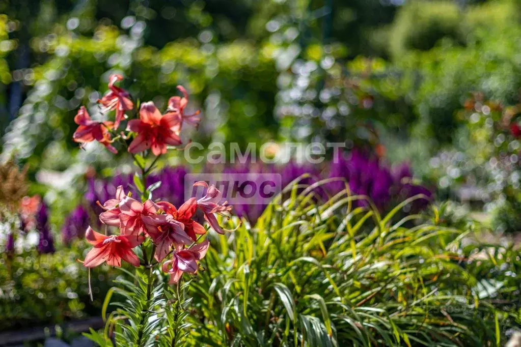 Дом в Хабаровский край, Хабаровский район, Корфовский рп ... - Фото 1