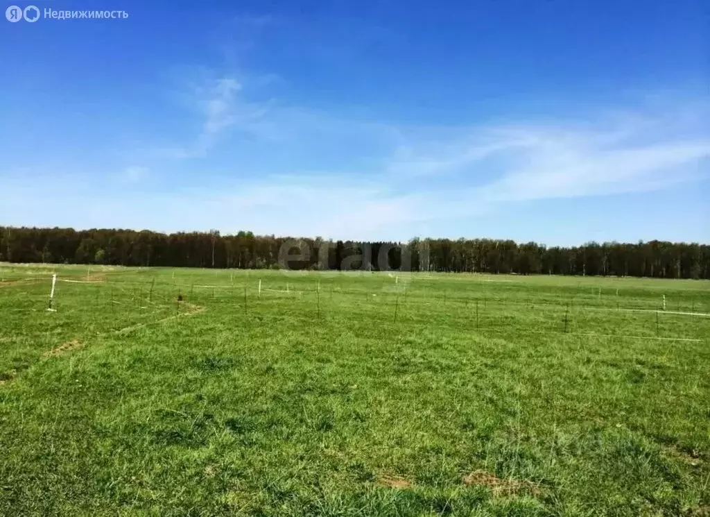 Участок в Слободской район, Ильинское сельское поселение, деревня ... - Фото 1