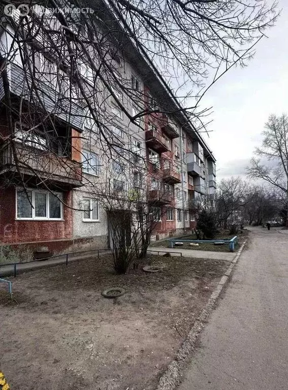 1-комнатная квартира: Барнаул, Кавалерийская улица, 20 (31.6 м) - Фото 1
